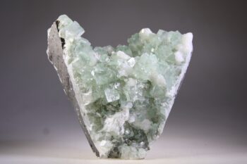 Apofylliet Aqua groene met witte Stilbiet - Afbeelding 2