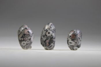 Crinoid fossiel in Marmer (Australië) - Afbeelding 4