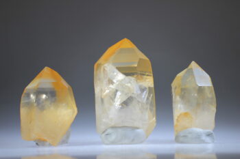 Golden Healer Lemurian