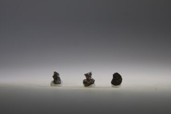 Meteoriet uit Campo del Cielo, Argentinië