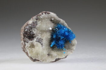 Pentagoniet - Afbeelding 3