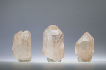Pink Lemurian / Roze Lemurische Laser