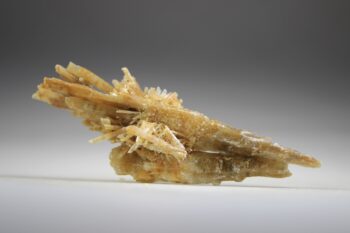 Seleniet Gouden uit Australië (Uitverkocht) - Afbeelding 2