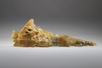 Seleniet Gouden uit Australië (Uitverkocht) - Afbeelding 3