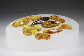 Seleniet schijf - Afbeelding 2