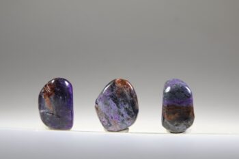 Sugiliet met Bustamiet