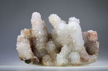 Zielkwarts uit Jamner, Maharashtra, India - Afbeelding 6