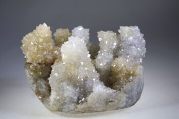 Zielkwarts uit Jamner, Maharashtra, India - Afbeelding 11