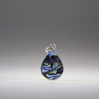 Abalone schelp hanger