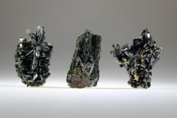 Aegirien - Afbeelding 3