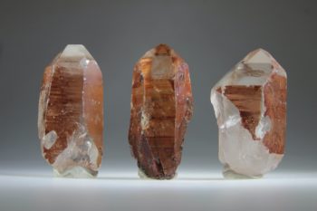 Agnitiet Lemurian (Uitverkocht)