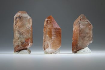 Agnitiet Lemurian (Uitverkocht) - Afbeelding 2