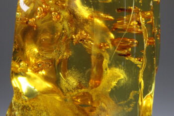 Amber uit Colombia (uitverkocht) - Afbeelding 9