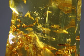 Amber uit Colombia (uitverkocht) - Afbeelding 8