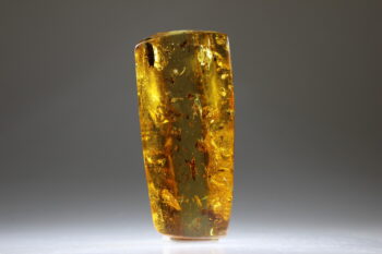 Amber uit Colombia (uitverkocht) - Afbeelding 7