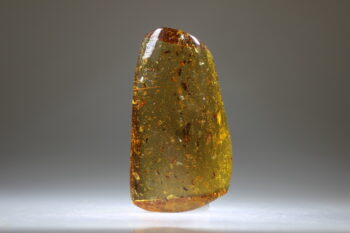 Amber uit Colombia (uitverkocht) - Afbeelding 4