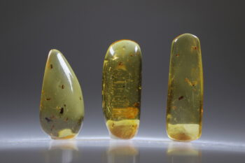 Amber uit Colombia (uitverkocht) - Afbeelding 3