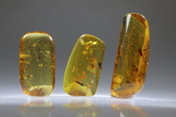 Amber uit Colombia (uitverkocht) - Afbeelding 2