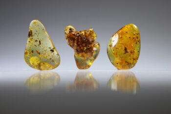 Amber uit Colombia (uitverkocht)