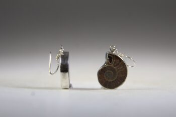 Ammoliet oorhangers - Afbeelding 3