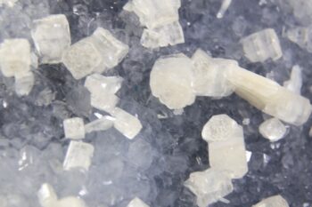 Apofylliet met Chalcedoon - Afbeelding 5