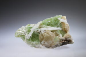 apofylliet groen