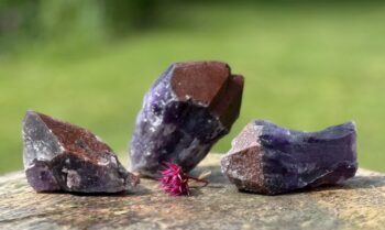 Auraliet 23 - Afbeelding 4