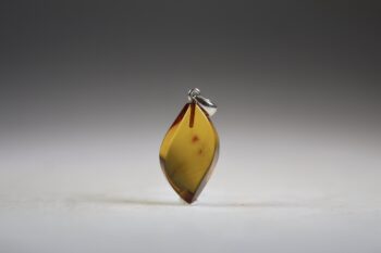 Barnsteen Hanger, (Baltische) met zilver oogje