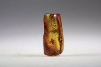 Barnsteen (Baltische)