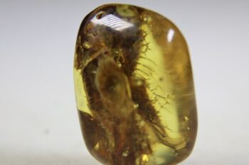 Barnsteen (Baltische) - Afbeelding 3