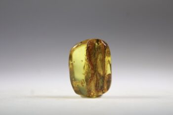 Barnsteen (Baltische) - Afbeelding 4