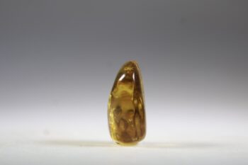 Barnsteen (Baltische) - Afbeelding 2