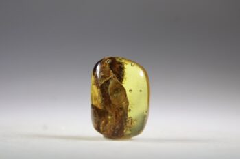 Barnsteen (Baltische)