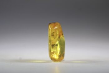 Barnsteen (Baltische) - Afbeelding 3