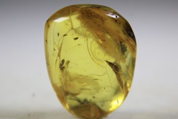 Barnsteen (Baltische) - Afbeelding 4