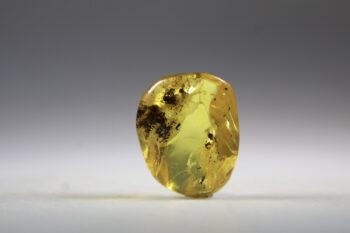 Barnsteen (Baltische) - Afbeelding 5