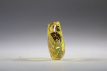 Barnsteen (Baltische) - Afbeelding 2