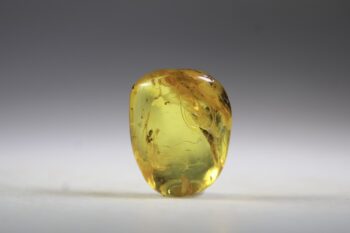 Barnsteen (Baltische)