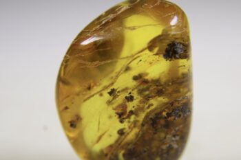 Barnsteen (Baltische) - Afbeelding 4