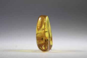 Barnsteen (Baltische) - Afbeelding 3