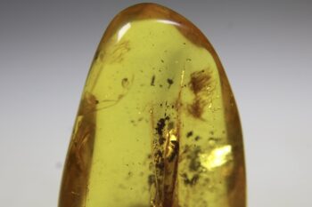 Barnsteen (Baltische) - Afbeelding 4