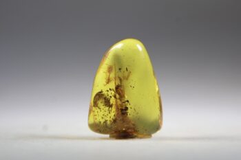 Barnsteen (Baltische) - Afbeelding 5