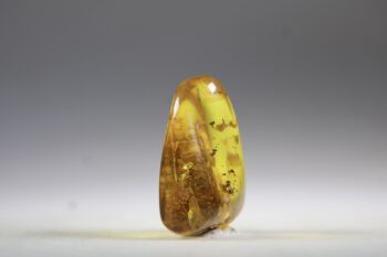 Barnsteen (Baltische) - Afbeelding 2