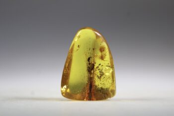 Barnsteen (Baltische)