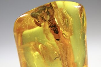 Barnsteen (Baltische) - Afbeelding 2