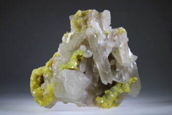 Muscoviet - Afbeelding 2