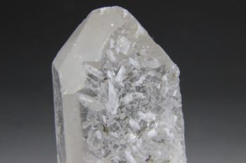 Blueprint of wholeness (Blauwdruk van heelheid) - Afbeelding 5