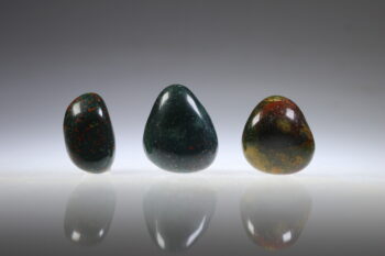 Bloedsteen Heliotroop