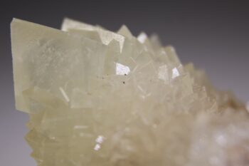 Calciet (wit) uit Indonesië - Afbeelding 5