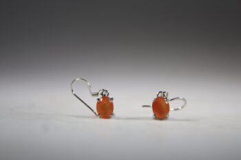 Carneool facet geslepen Oorhangers